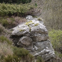 Photo de france - La randonnée du Mont Caroux